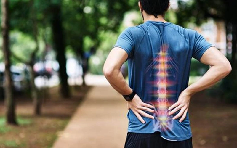 درباره دیسک بین مهره ای