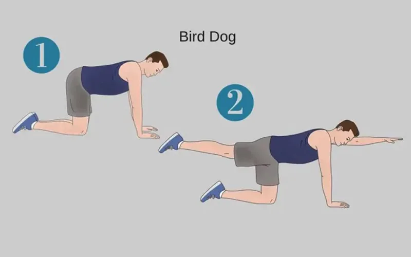 پیشگیری از دیسک کمر با ورزش