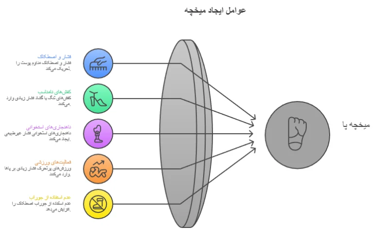 عوامل ایجاد میخچه