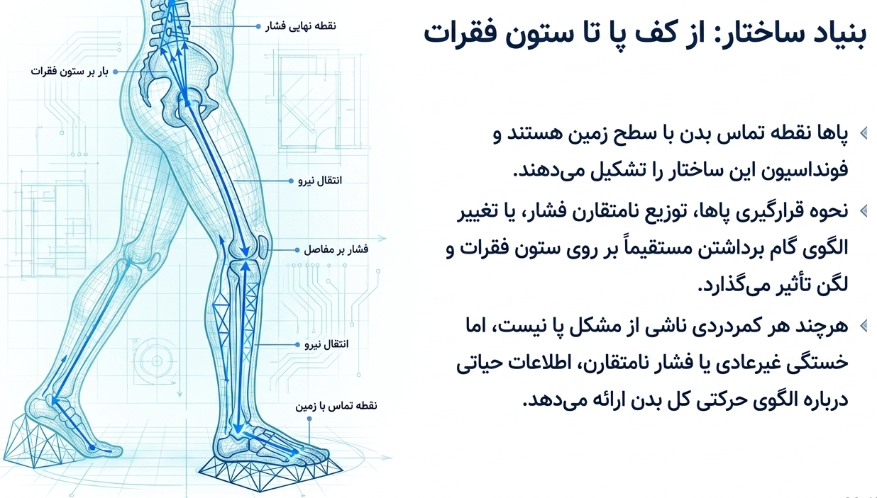 نقش پا و الگوی راه رفتن در سلامت کمر
